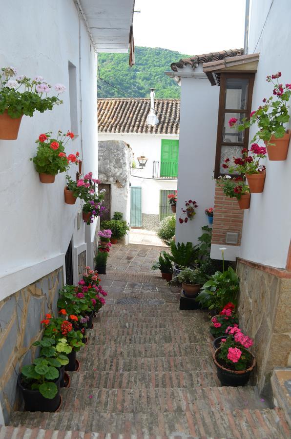Villa Casa La Puente Jubrique Esterno foto