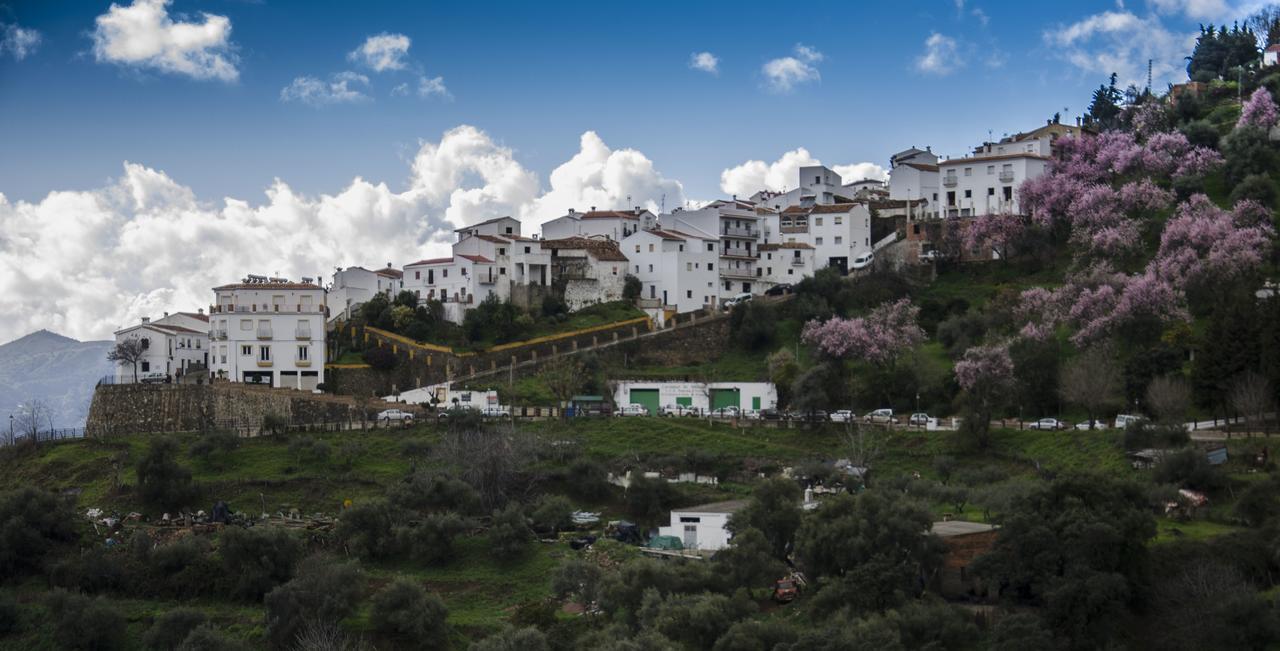 Villa Casa La Puente Jubrique Esterno foto